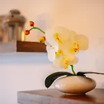 Apartment Spalato Lägenhet *