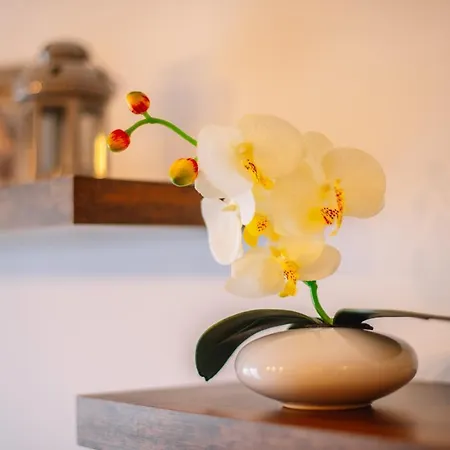 Apartment Spalato 아파트 *